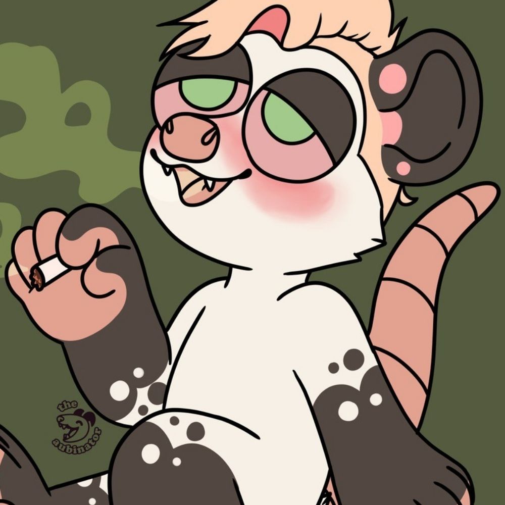 🍑 Peach Opossum 