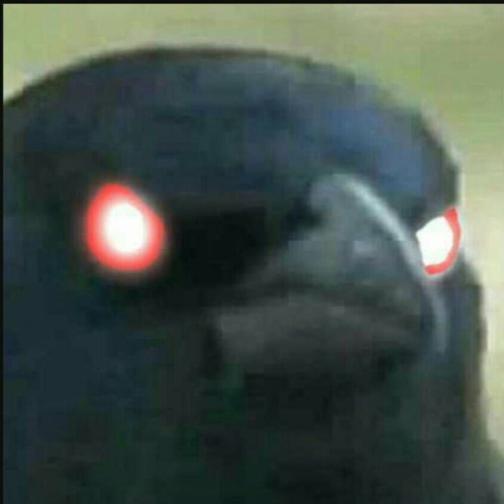 🔞 This odd crow