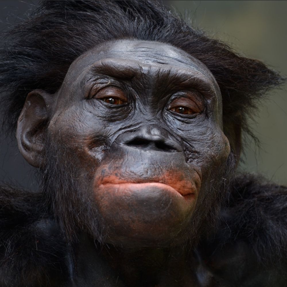 Kennis&Kennis Reconstructions