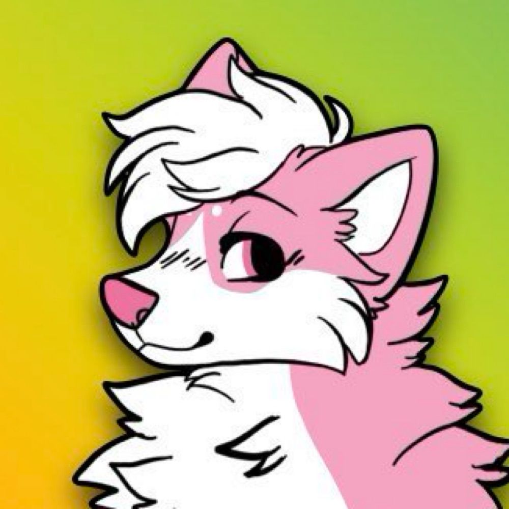 StormTheHusky