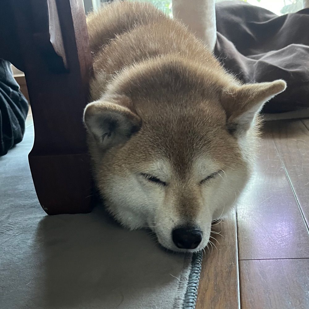 ナツ
