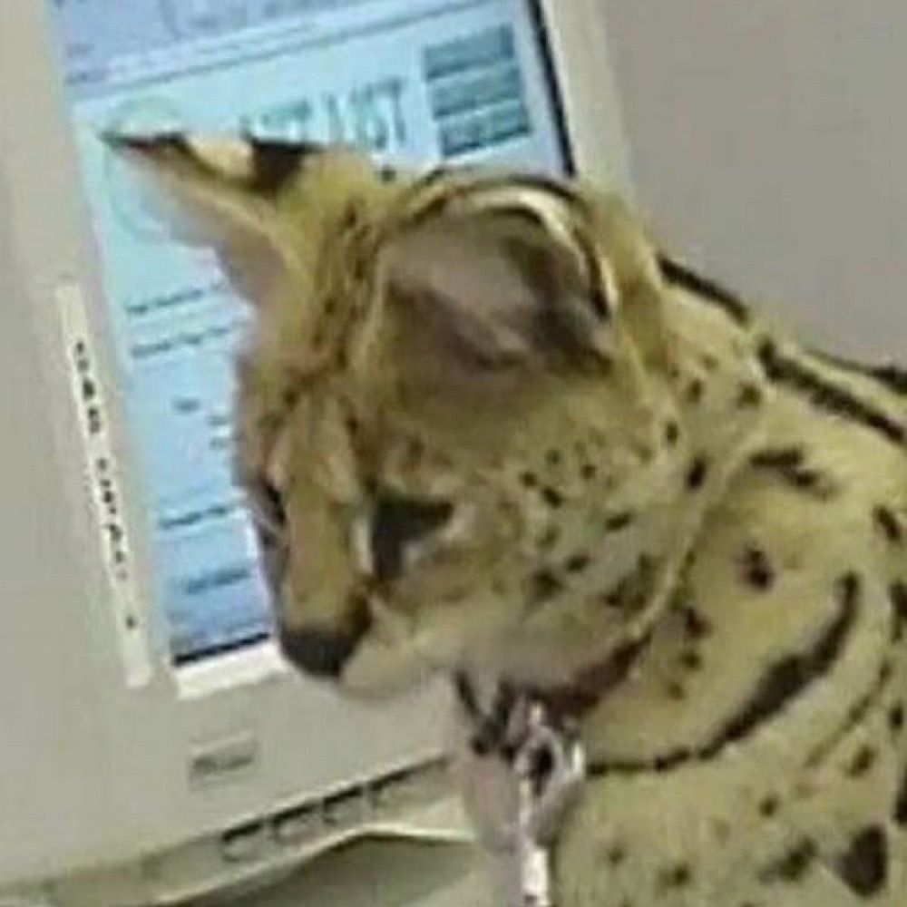 User avatar