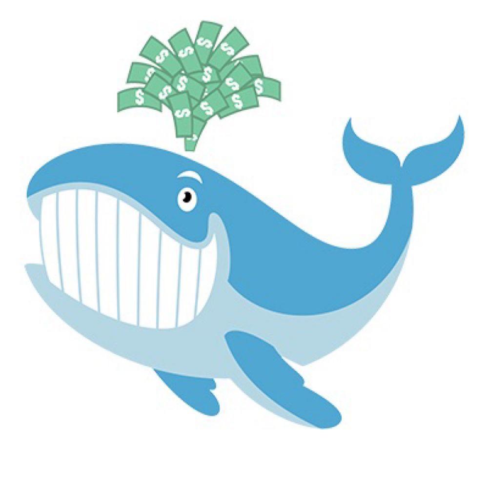 Unusual Whales