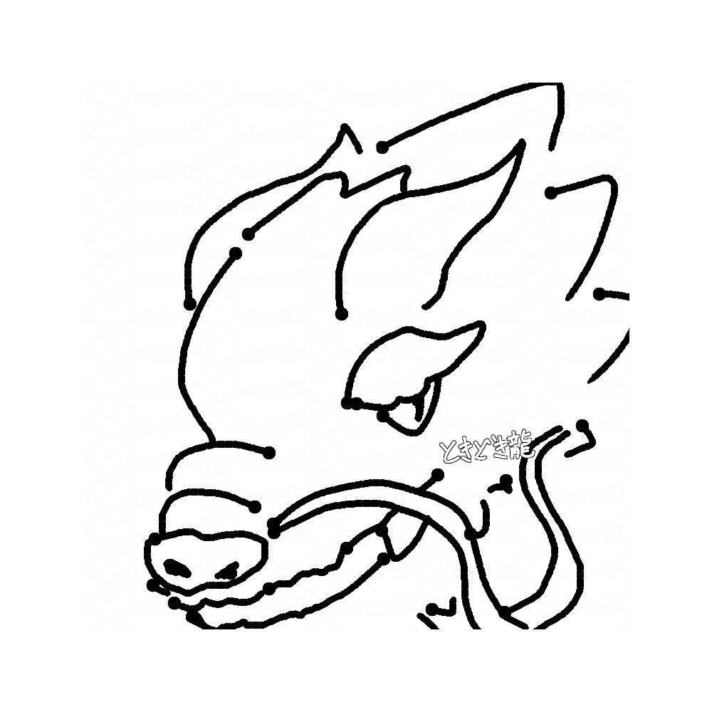 ときどき龍