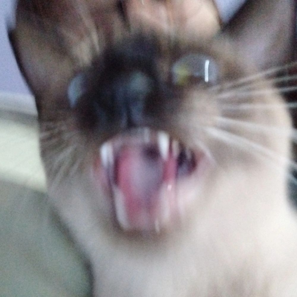 lulu
