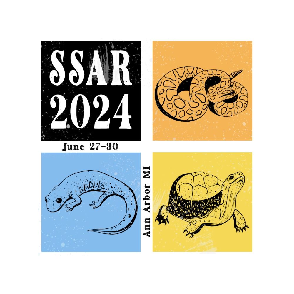 SSAR 2024