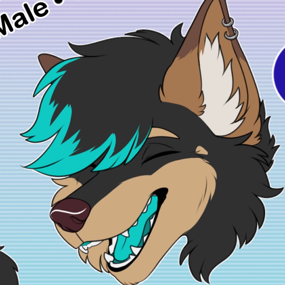 Bo the shep