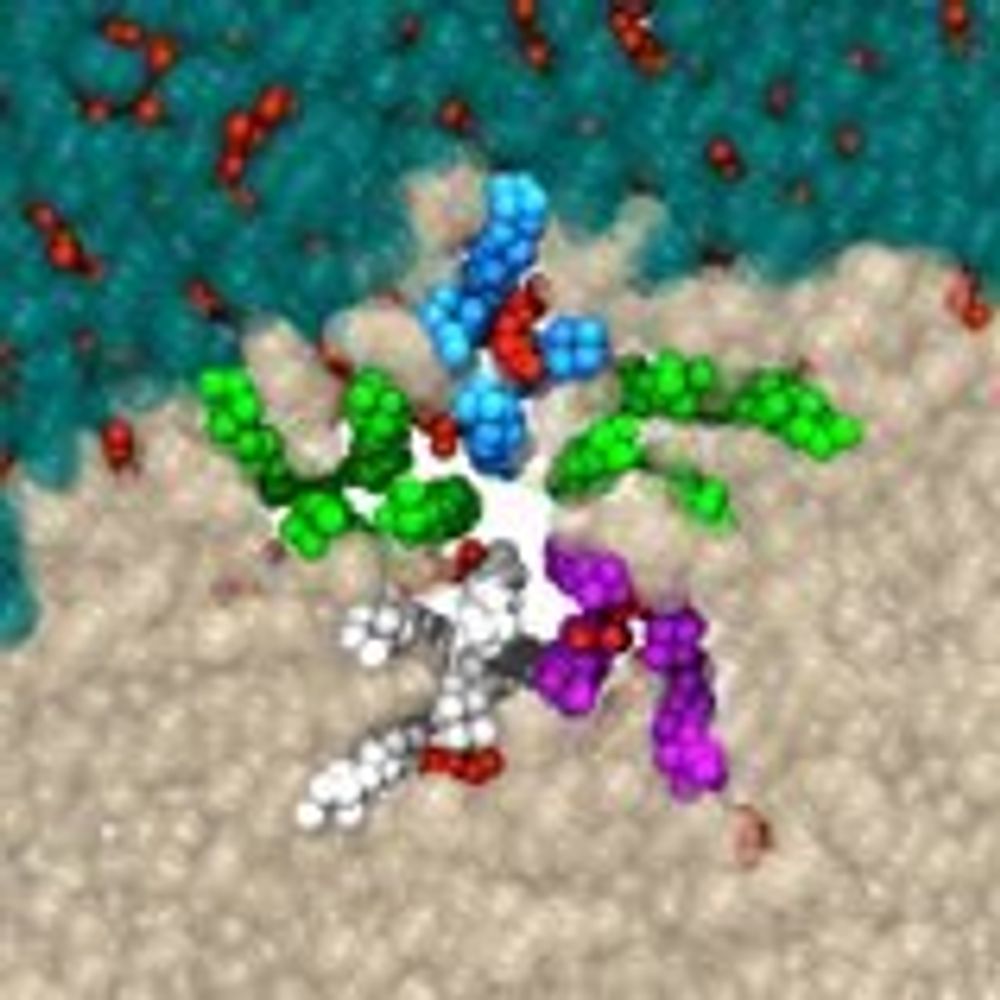 Brannigan Lab