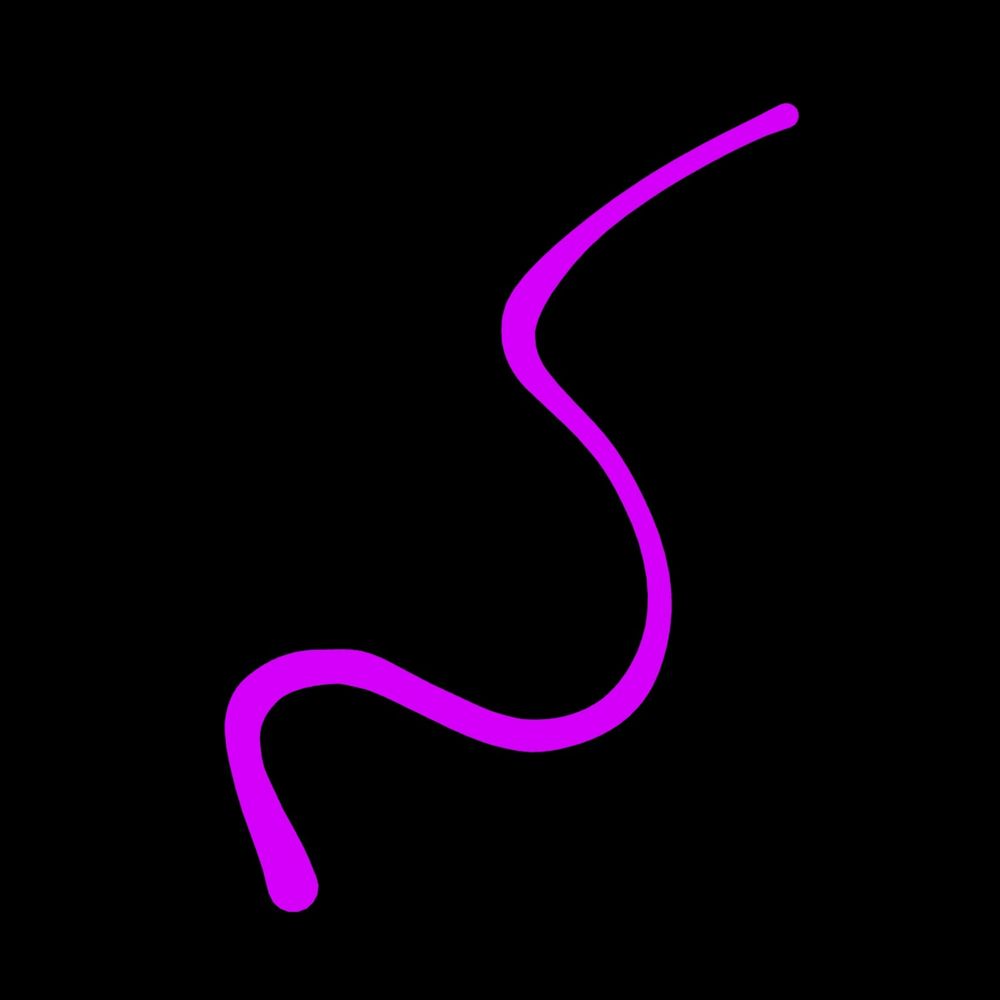 Jorworm