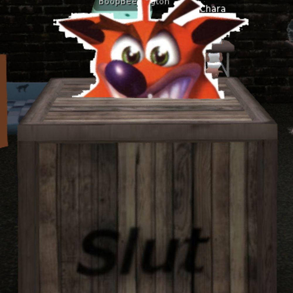 Weird Second Life Finds