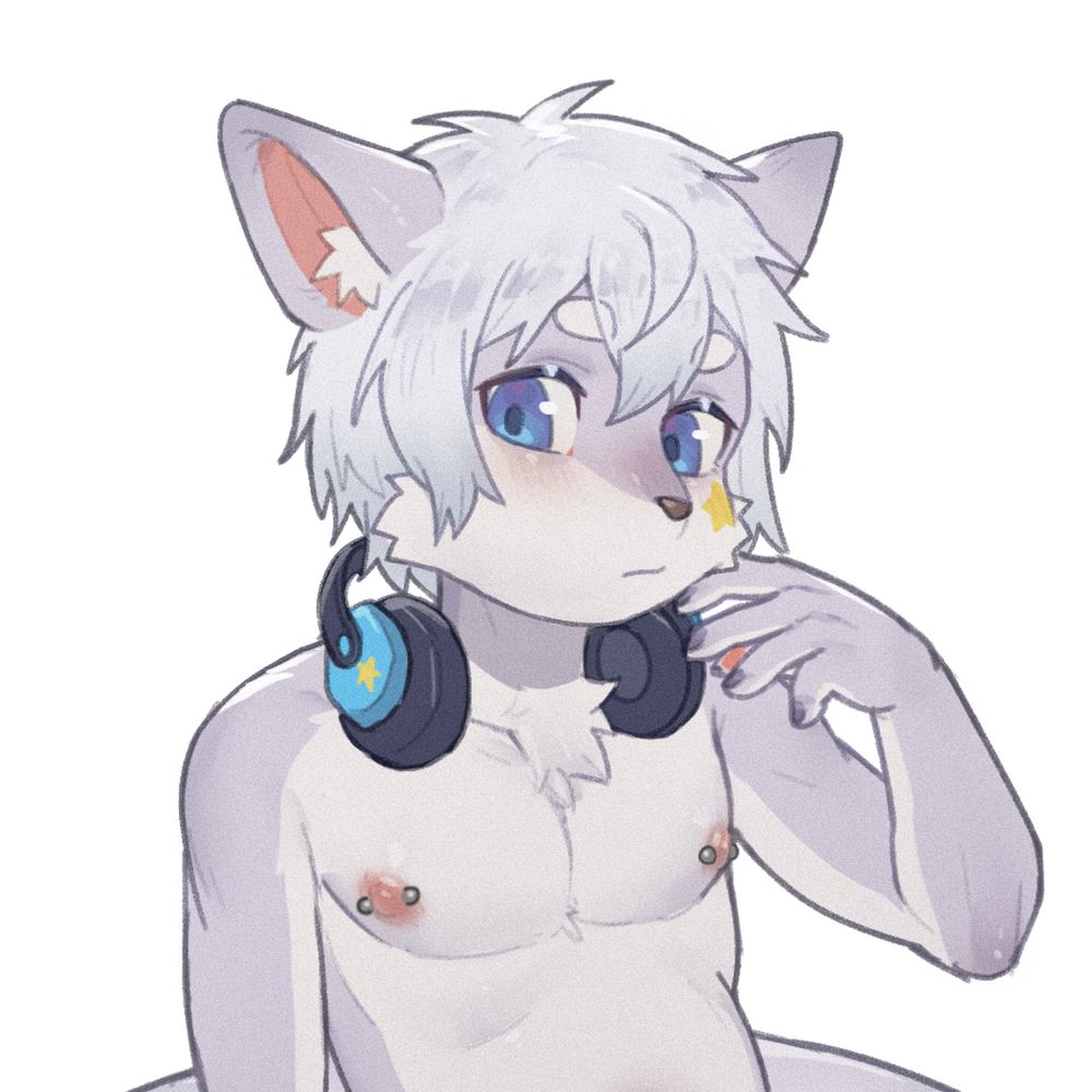 我只是只风猫猫