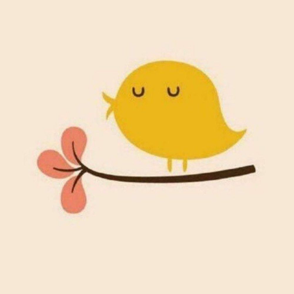 Fatemeh 🌸