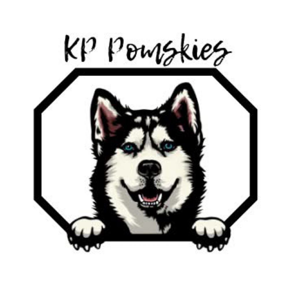 Pomsky