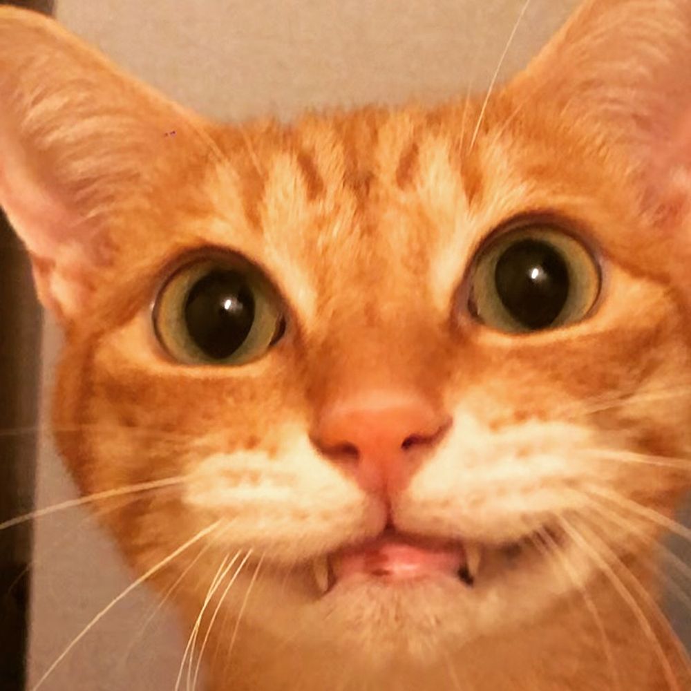naco