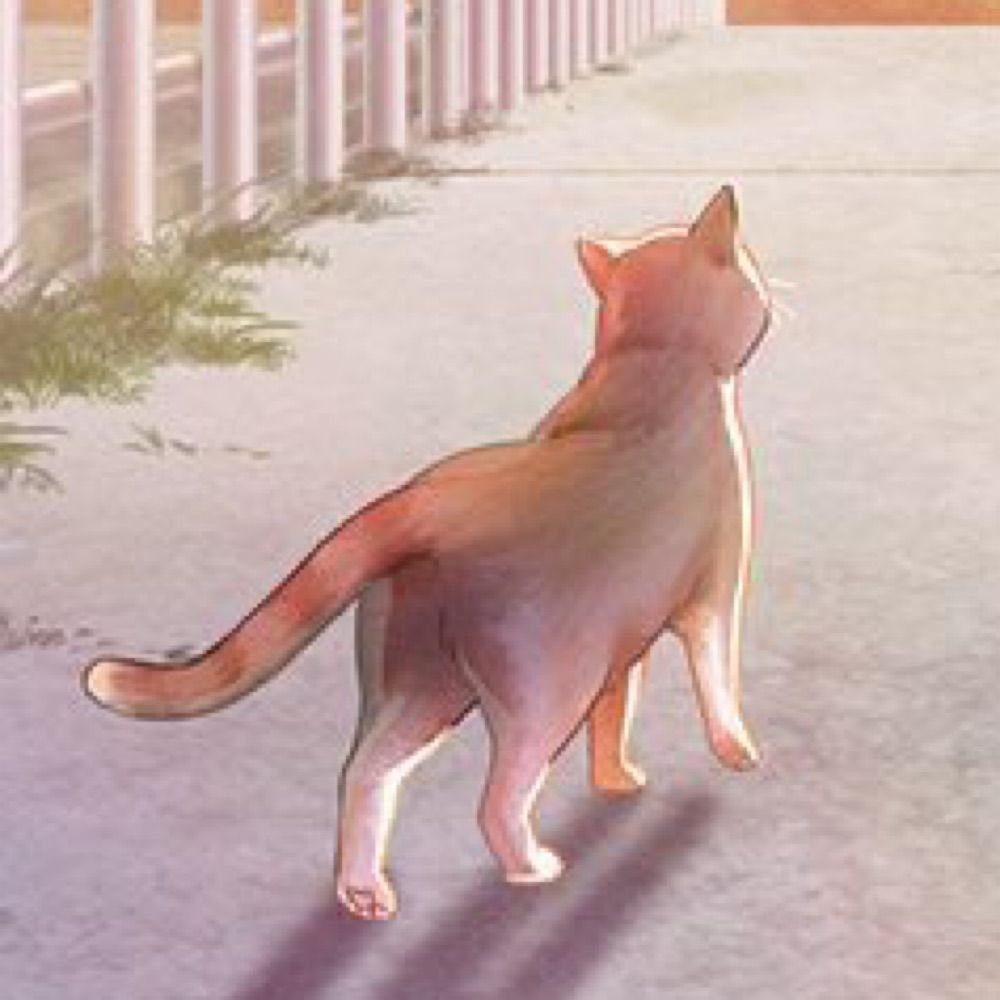 シロクラゲ