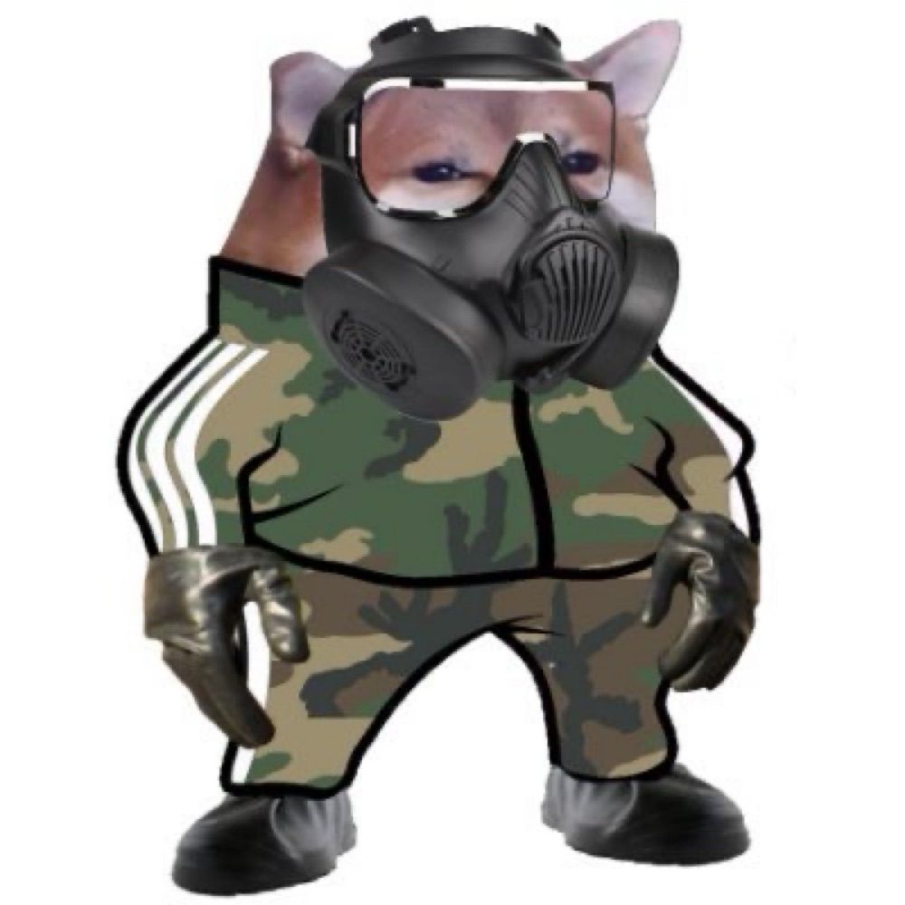 Copesint