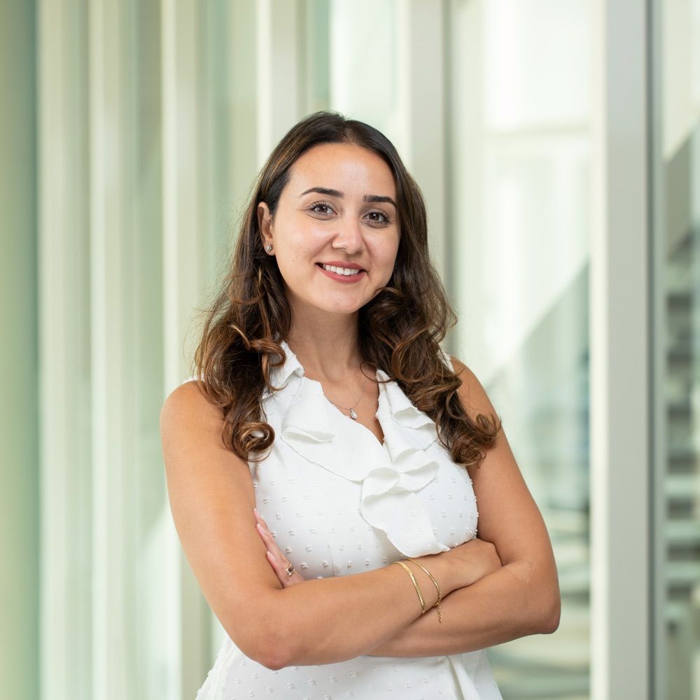 Tala Shahin, PhD