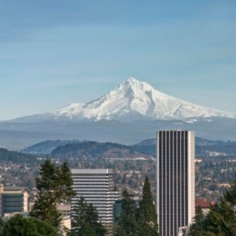 PDX Dad