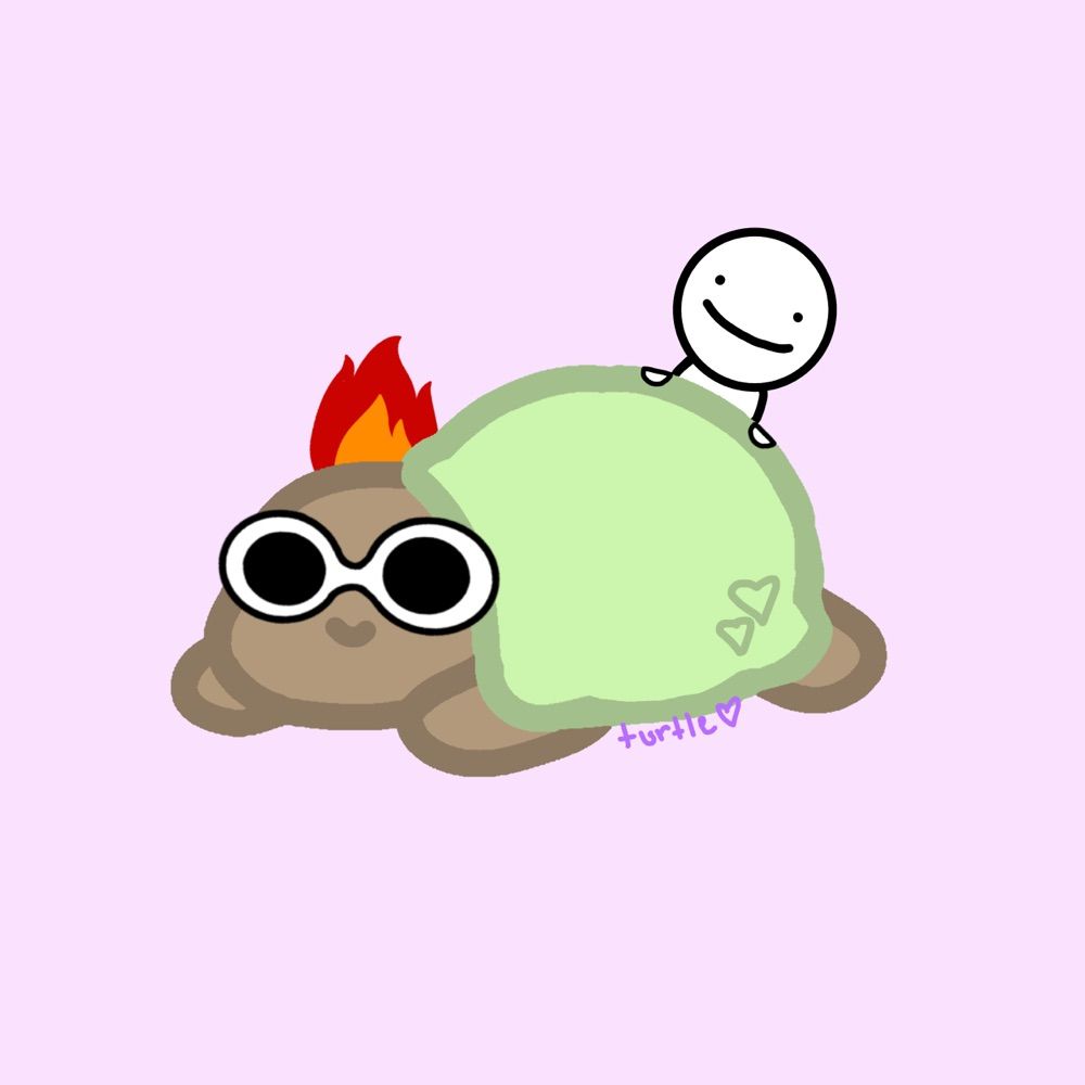 turtle ੈ✩‧₊˚