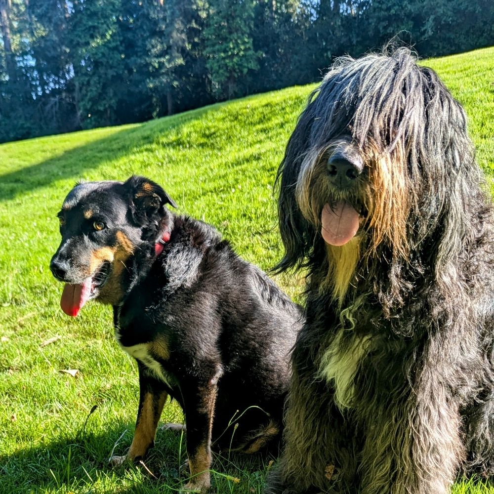 Mollybear & Flossie