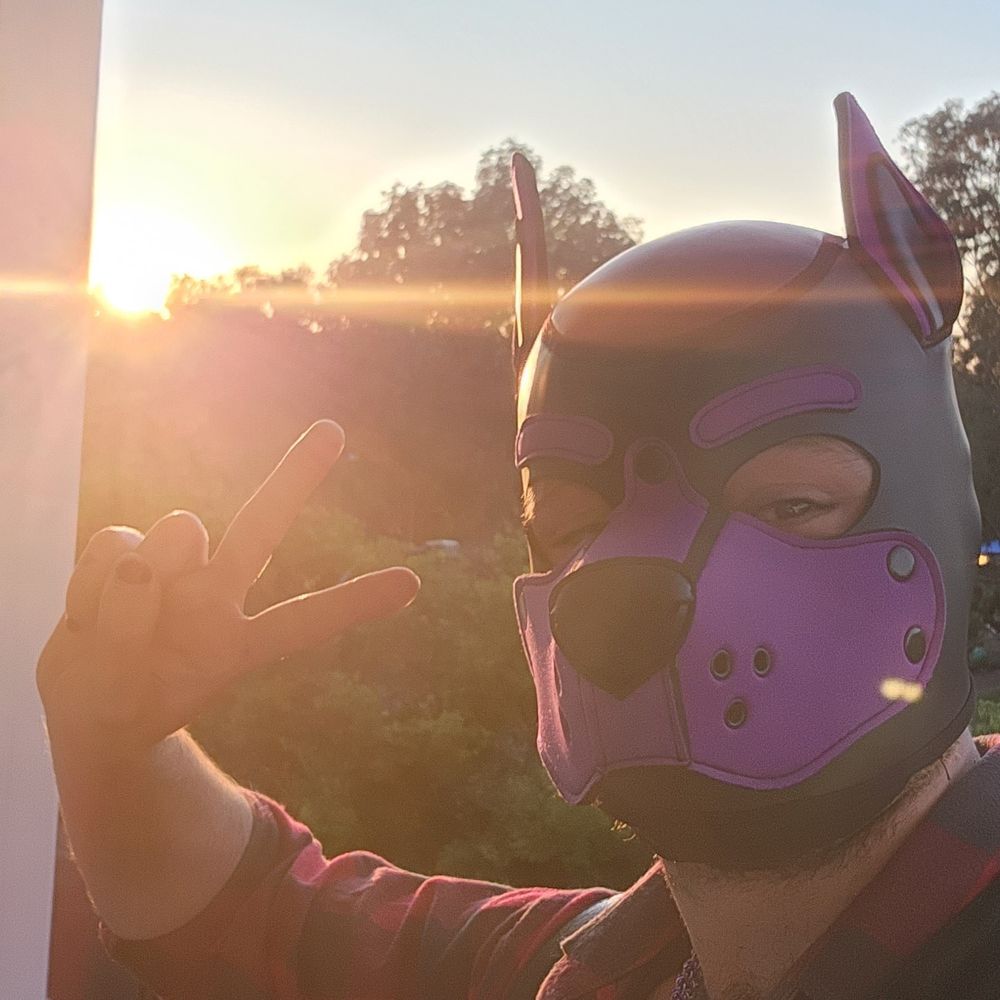 Pup Cobalt