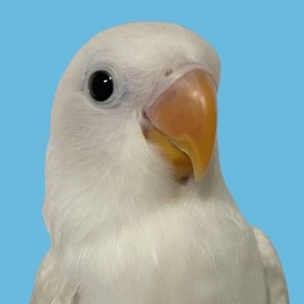 みるも