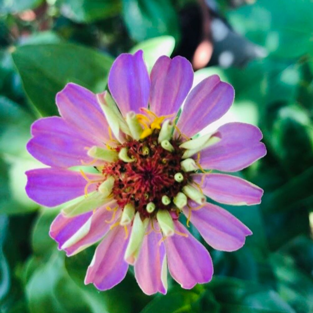 cosmosxx.bsky.social profile picture