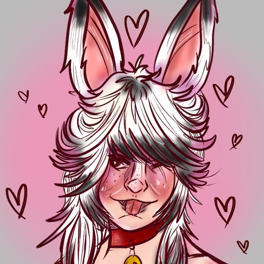 rune, a bnnuy boy 🔞