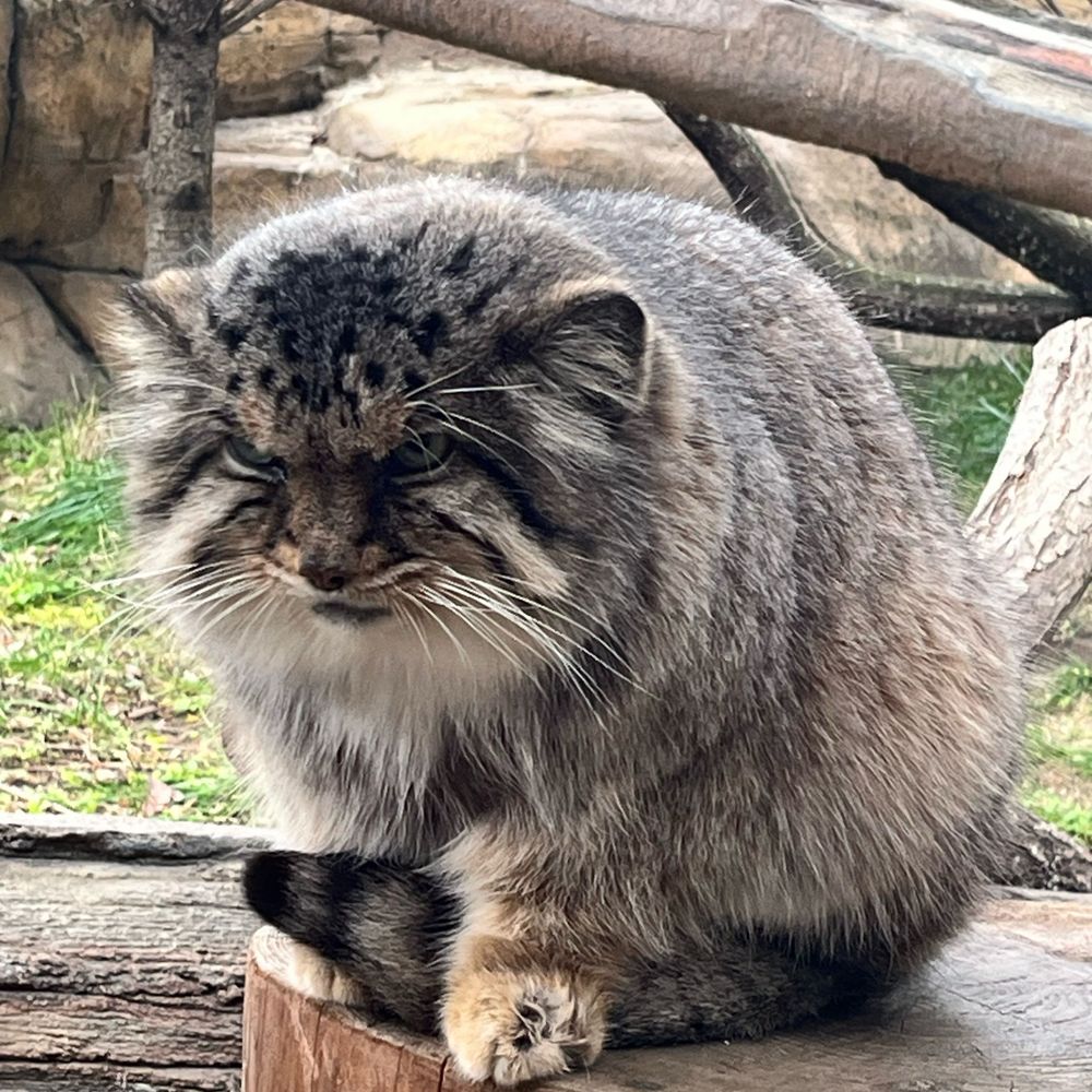 ゆーき