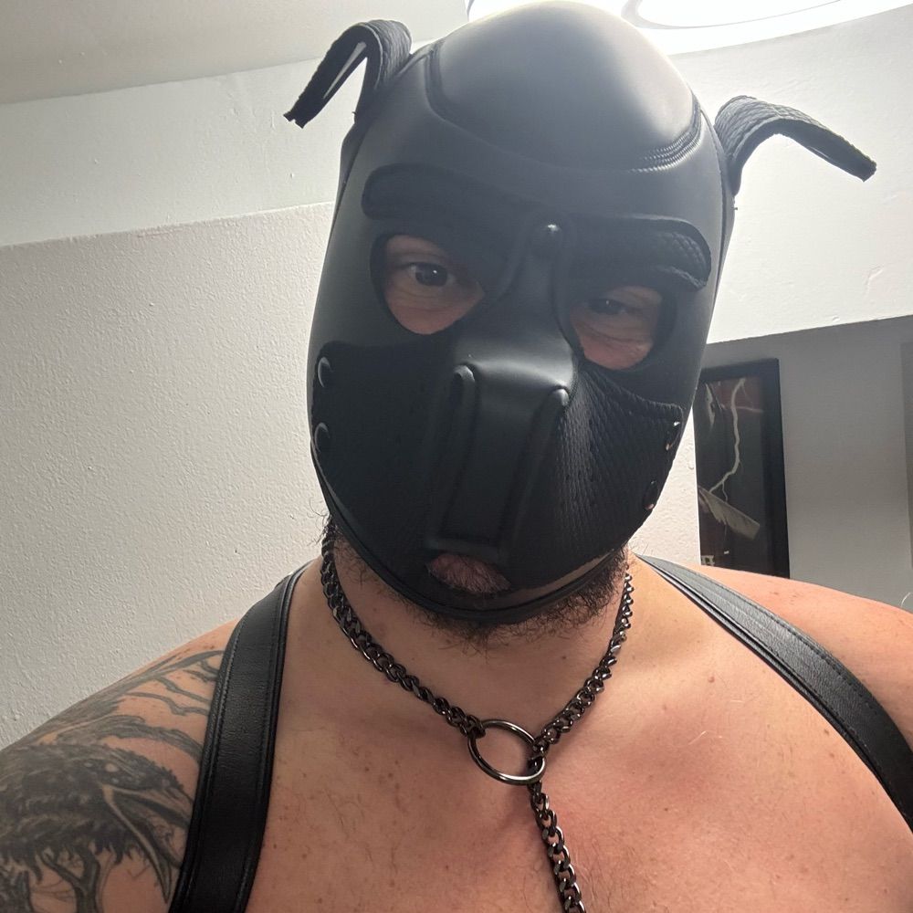 Pup Asher