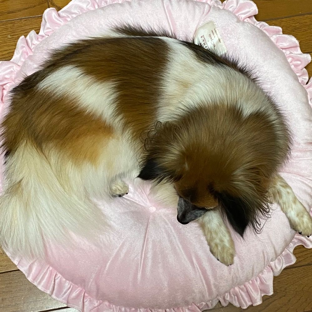 みつひね