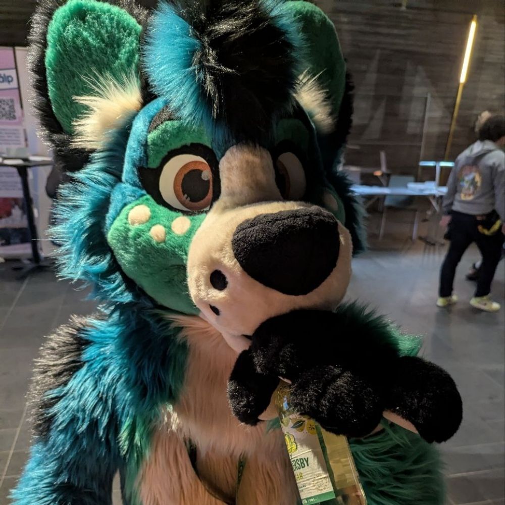 Sierra! 🐺🇮🇪