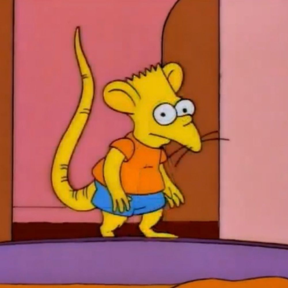 Rat boy