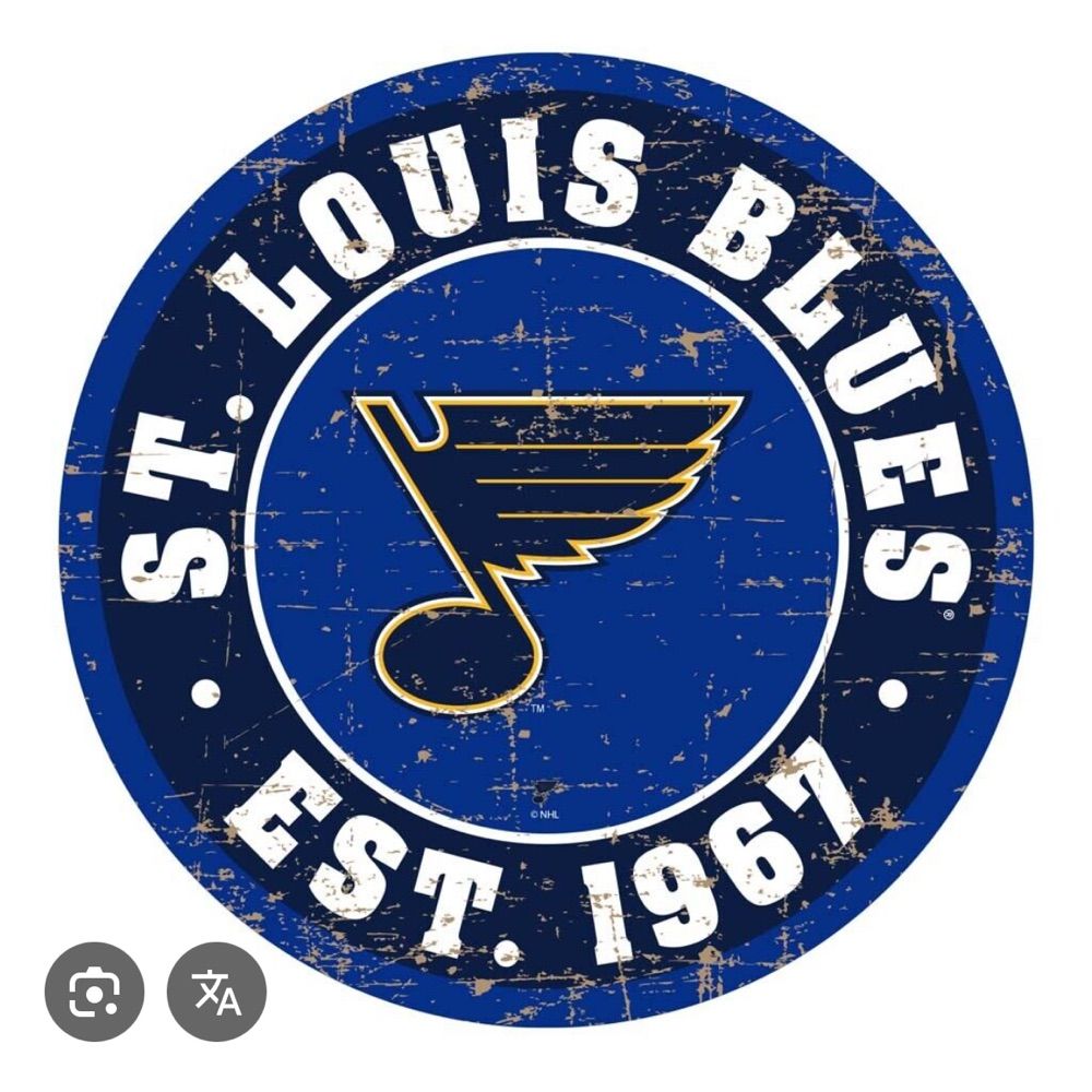 Blues Hockey Fan