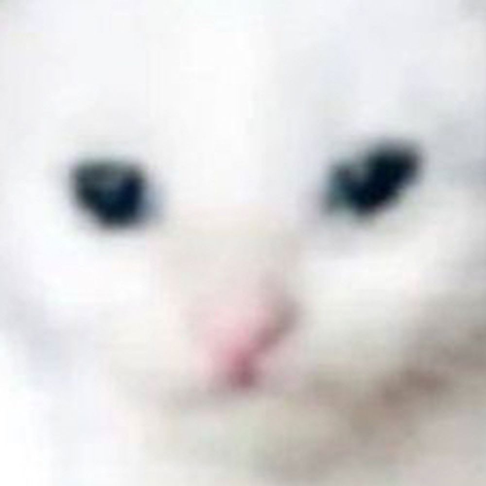 Su