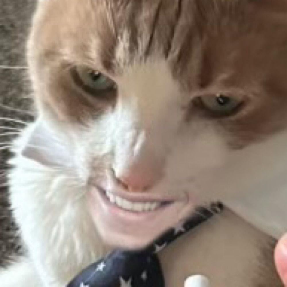 Ælfrīc þingas indulgence