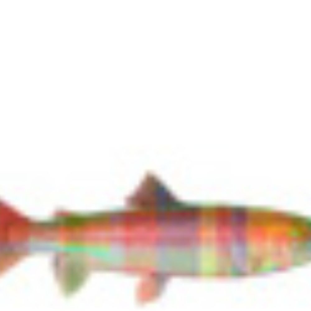 Trout in Plaid's avatar