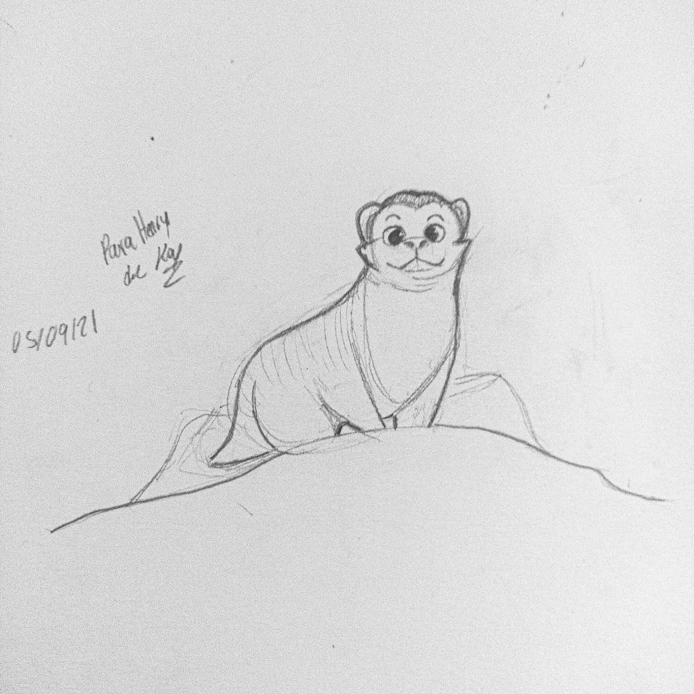 That Mongoose Guy