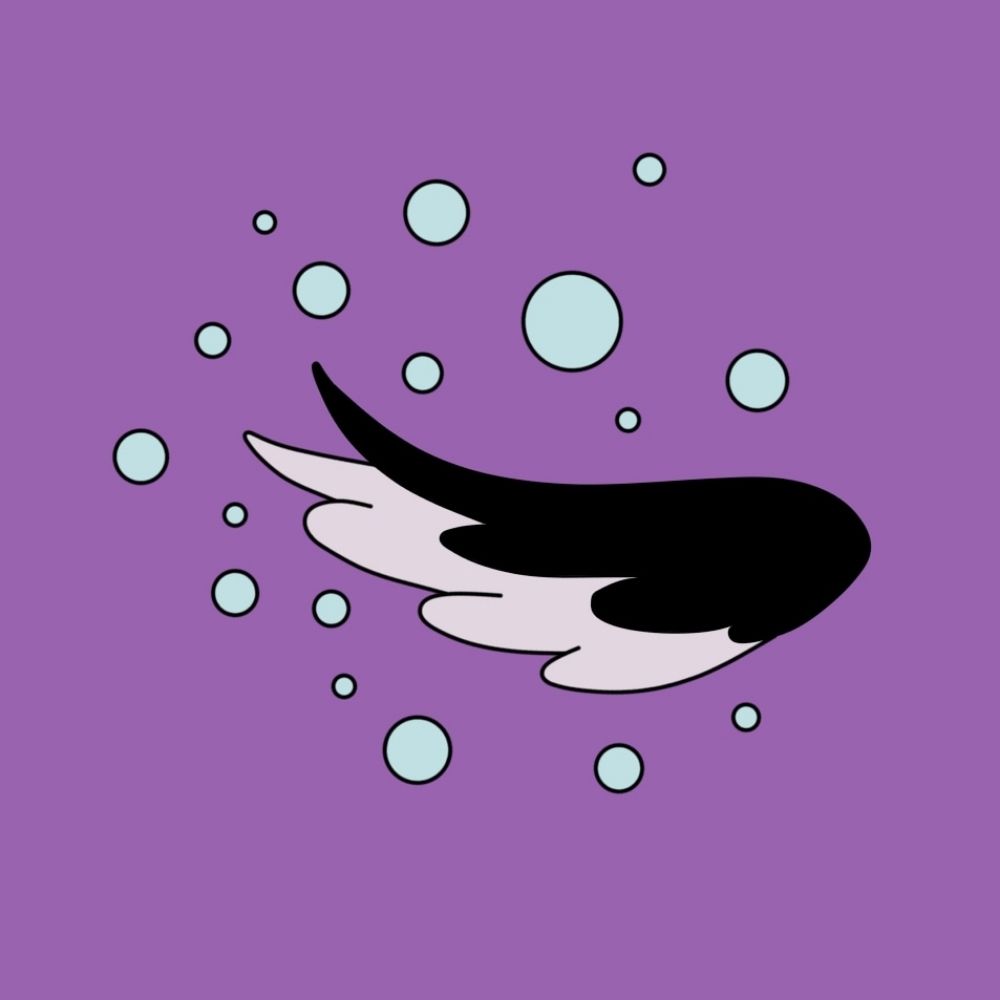 Fizzy Magpie Arts