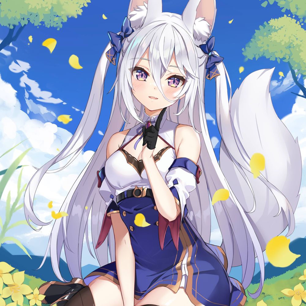 ノボル