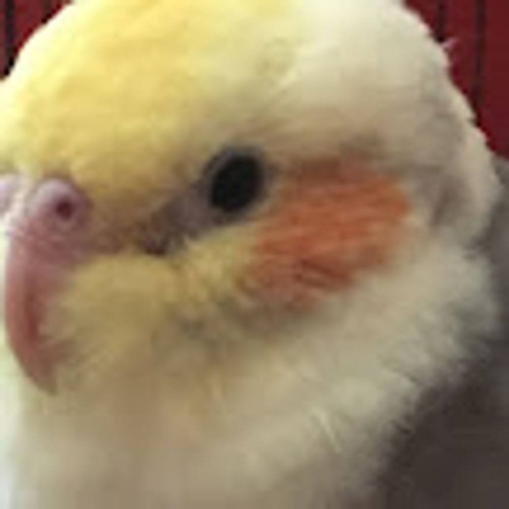 Pummp