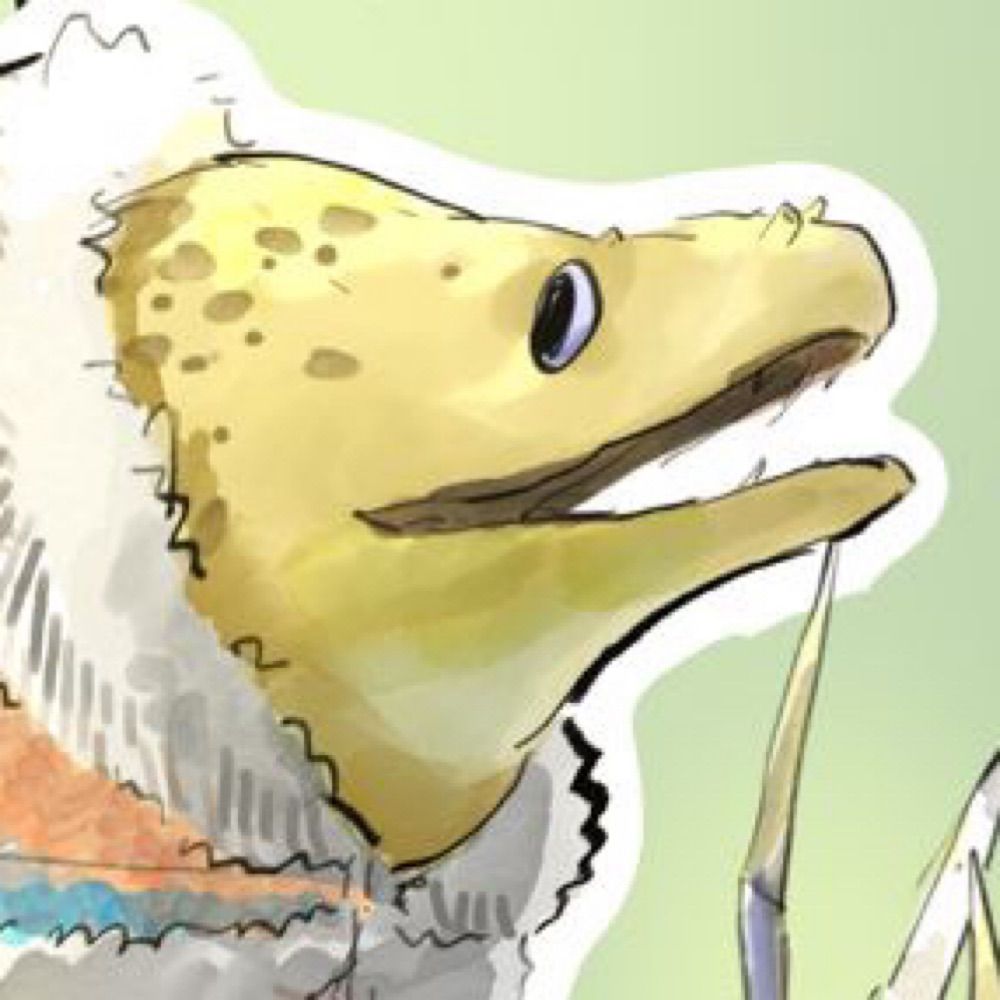 NH-Seagulloodle