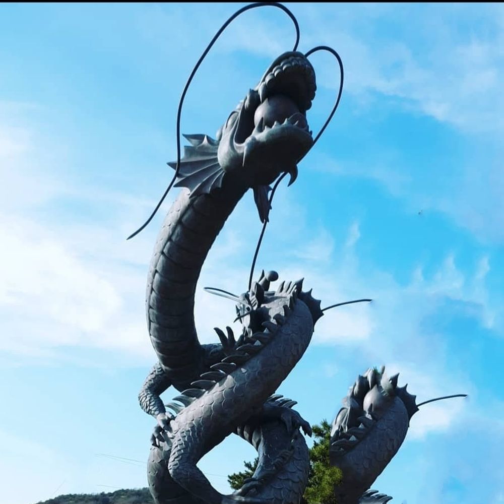 DragonN