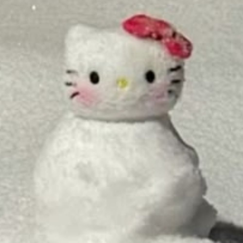 🌨