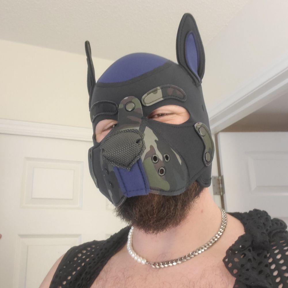 Pup Dad