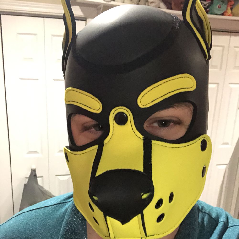 LixusPup