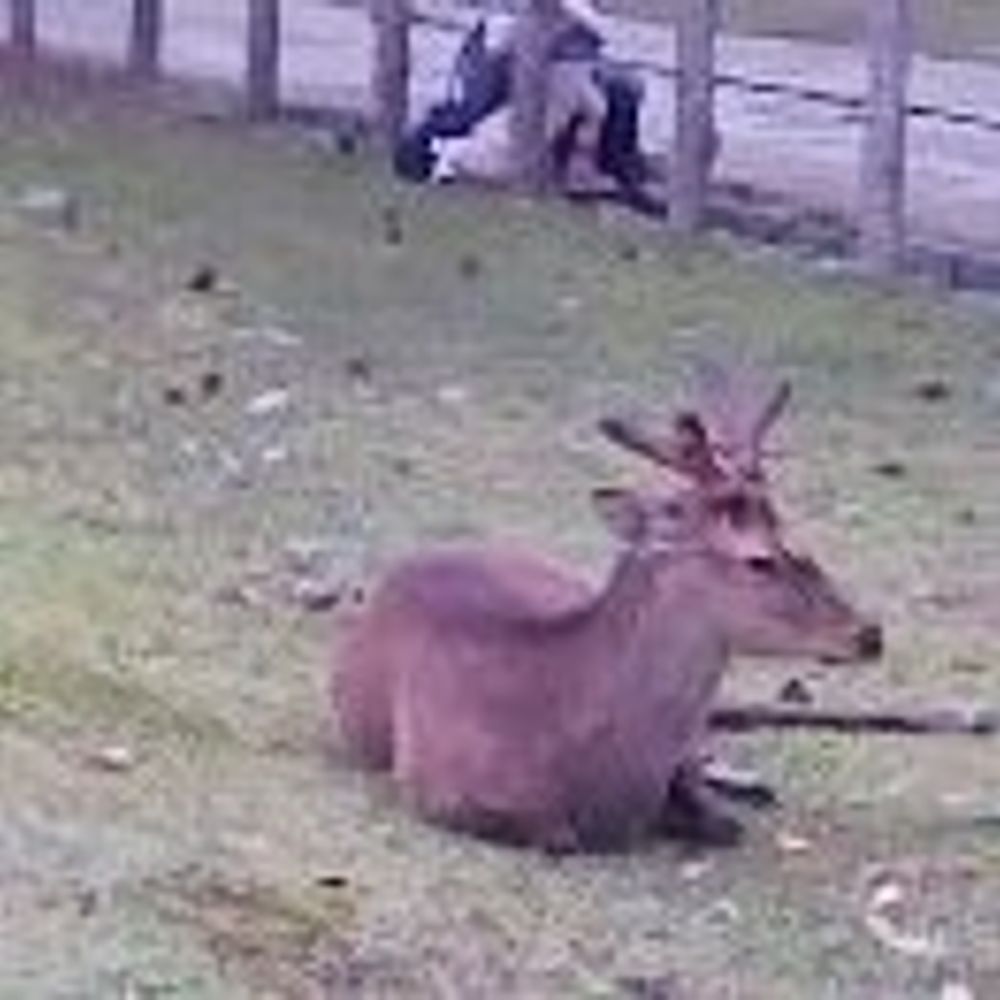 初恋刑事