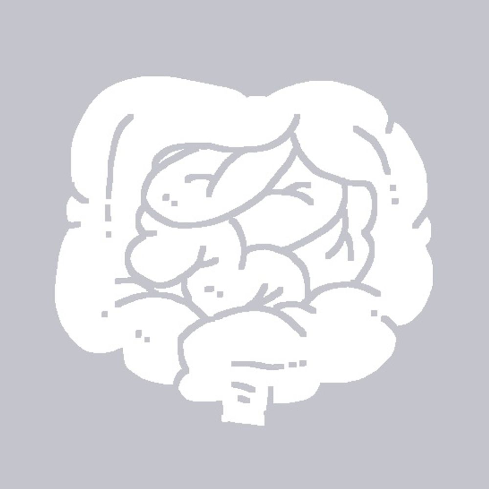 うみねこ