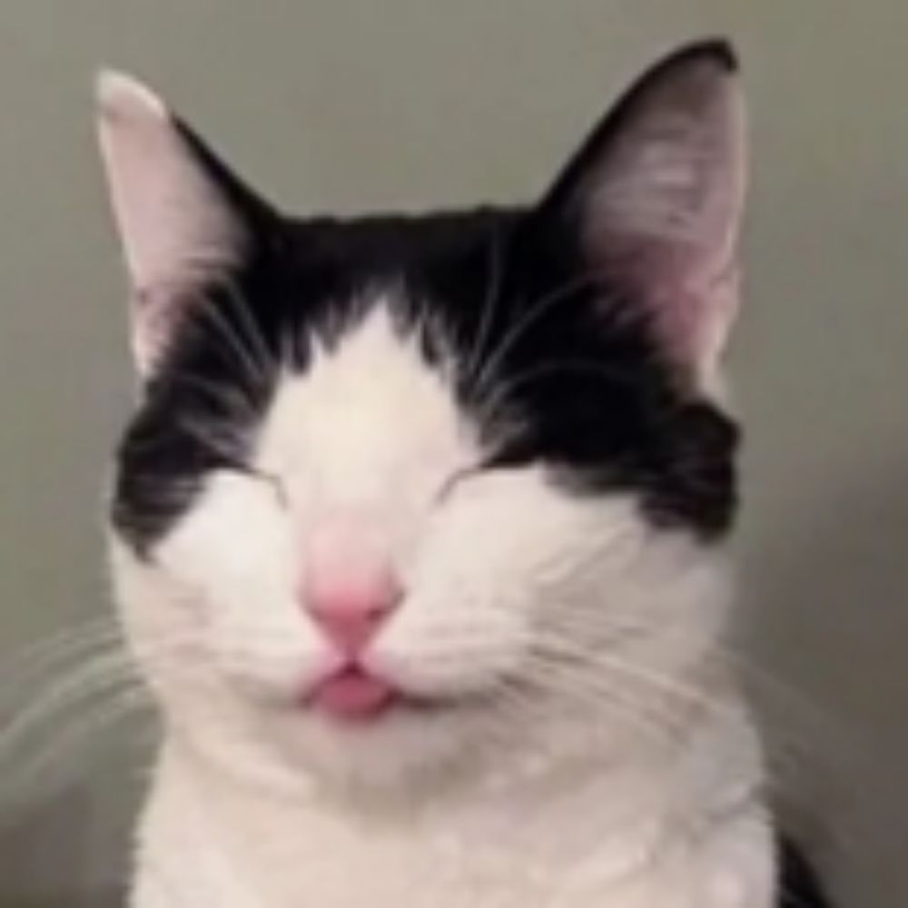 sam nub