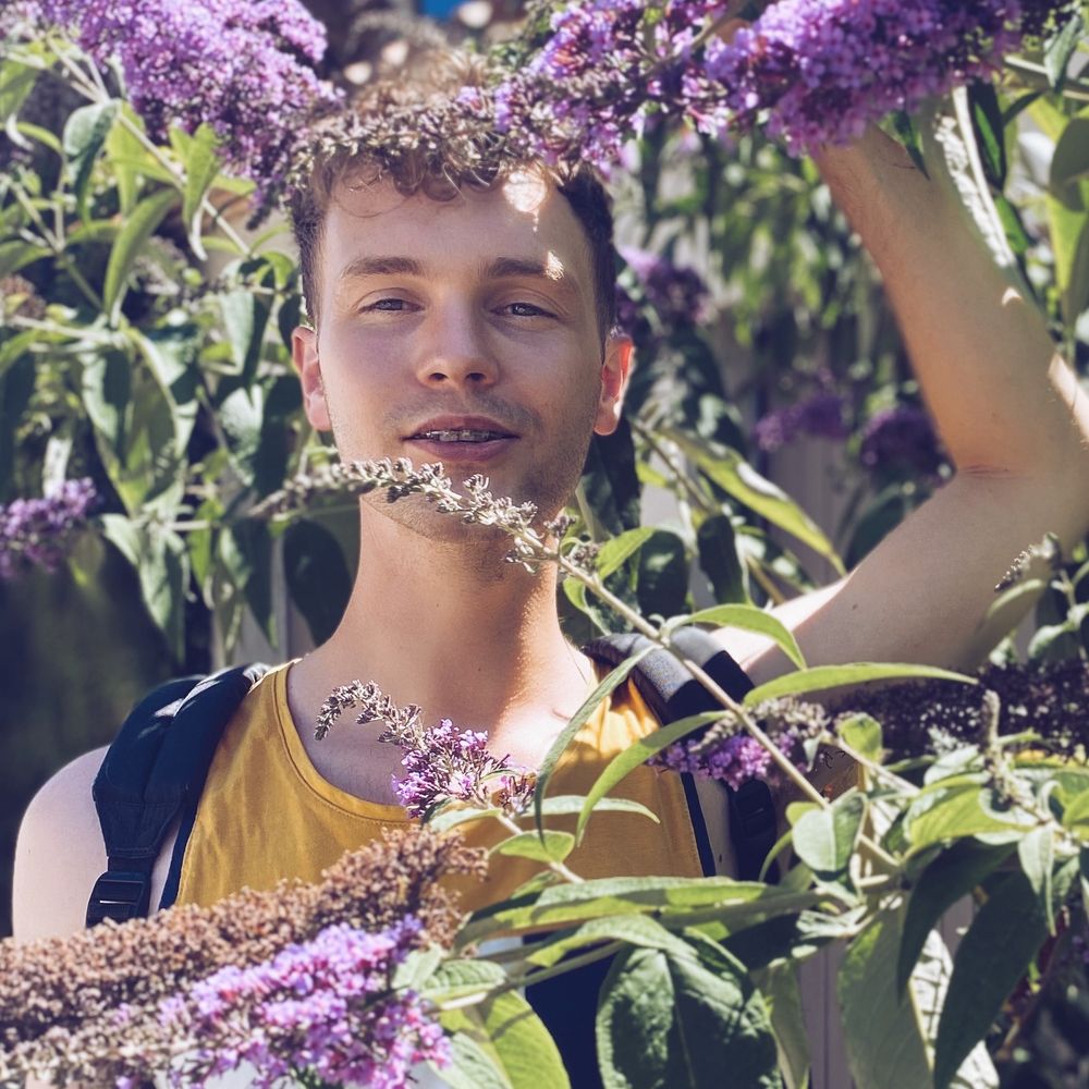 Wouter Waayer